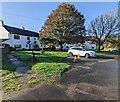 Trees and white houses, Rockhampton, South Gloucestershire