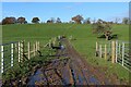 SD5535 : Muddy Track crossing Blundel Brook by Chris Heaton