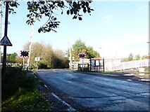 SO6301 : The level crossing at Lydney railway station by Ruth Sharville