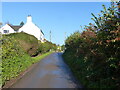 The road at Lower Etloe, near Purton, Gloucestershire