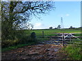 Gate to a field, with a pylon, Upper Etloe, Gloucestershire