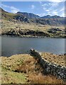 SH6560 : Stone wall on the north shore of Llyn Ogwen by Mat Fascione
