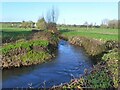 Meander in the Bideford Brook, near Awre, Gloucestershire