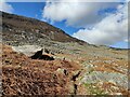 SH6560 : The Snowdonia Slate Trail near Llyn Ogwen by Mat Fascione