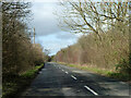 Road from Worminghall to Oakley