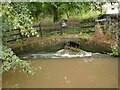 Overflow to Middlewich Middle Lock