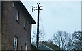 Traditional telegraph pole on Nettleden Road, Little Gaddesden