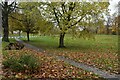 Path on the edge of Peckham Rye Common