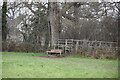 Footbridge, Burstow Stream