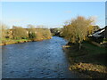 River Derwent, Cockermouth