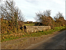 S7365 : Hedgerow and Parapet by kevin higgins