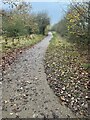 Tarmac path to Shipley