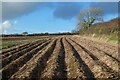 Farmland, Veryan