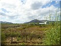 Heathland at Caol