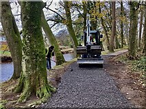 H4772 : Temporary repairs to Highway to Health path, Cranny by Kenneth  Allen