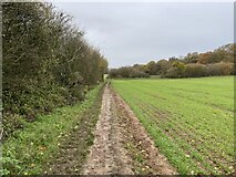 SU5850 : Path by Hansfords Field (12 acres) by Mr Ignavy