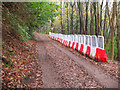 Roadside markers, Langlee Woodland