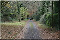 Access road, Selwyns Wood