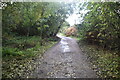 Footpath, Eastbrookend Country Park