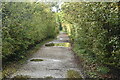 Footpath, Beam Valley Country Park