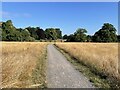 New path - Hawley Farm Open Space