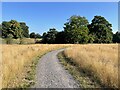 New path - Hawley Farm Open Space