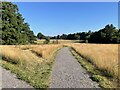 Hawley Farm Open Space