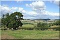 View from the Jack Mytton Way