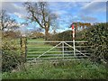 SJ7851 : Gate and field at Park End by Jonathan Hutchins