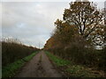 Roadway to Fields Farm