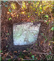 Old Milestone, Westfield Farm, Ermin Street