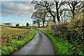 Bend along Drumconnelly Road