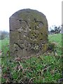 SO6815 : Old Boundary Stone, Flaxley by Mr Red