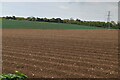 Ploughed field