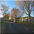 Lichfield Road: winter sunlight