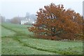 Malvern Common