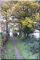 Footpath to Guarlford