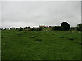 Over  field  to  Mount  Pleasant  Farm