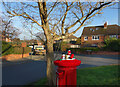 Festive Yarn Bombing, Worsley Road