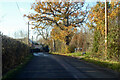 Clay Lane, South Nutfield