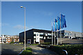 Flags in the Business Park