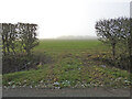 Historic gap in the hedge in Semere Lane