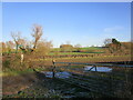 The beginning of a bridleway to Ashby Pastures