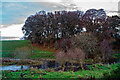 Small lochan by Cnoc an T?rra