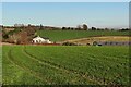 SO8280 : Farmland near Blakeshall by Mat Fascione