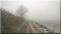 TF1606 : Farm track and footpath between Peakirk and Glinton on a foggy, frosty morning by Paul Bryan