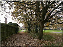 SU8649 : Path within Brickfields Park by Basher Eyre