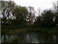 Icy pond in Brickfields Park