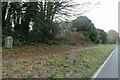 Road verge with old milestone on A390 east of Callington