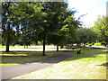 Footpath in Calthorpe Park, Highgate